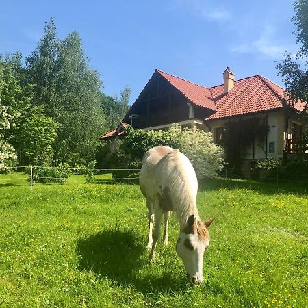 克拉西琴Modryna Ranczo住宿加早餐旅馆 外观 照片