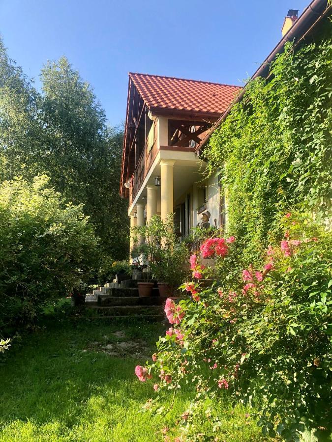 克拉西琴Modryna Ranczo住宿加早餐旅馆 外观 照片