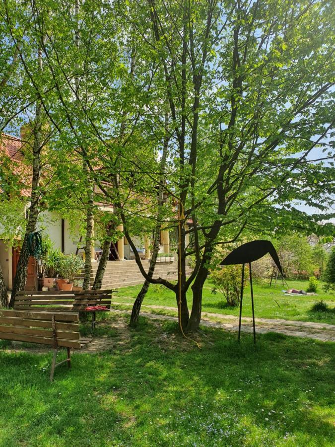 克拉西琴Modryna Ranczo住宿加早餐旅馆 外观 照片