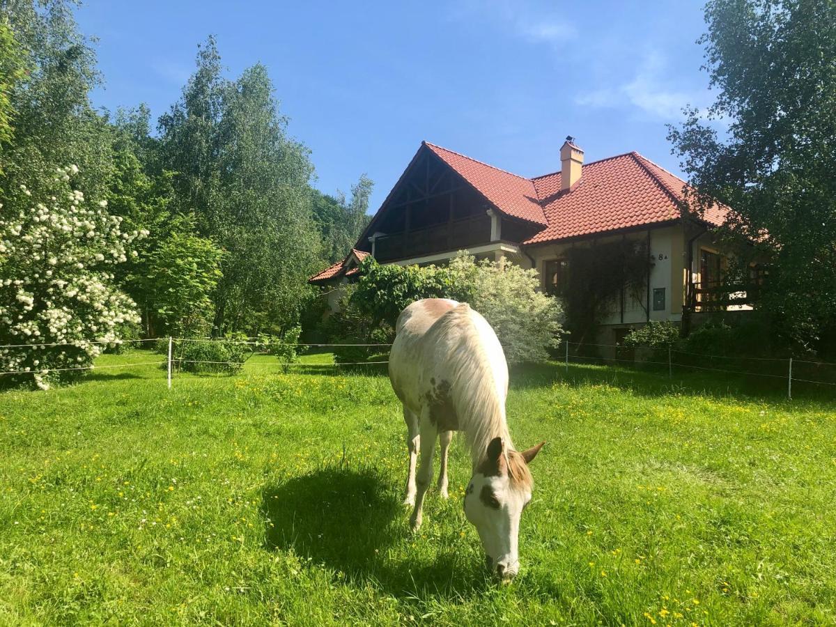 克拉西琴Modryna Ranczo住宿加早餐旅馆 外观 照片
