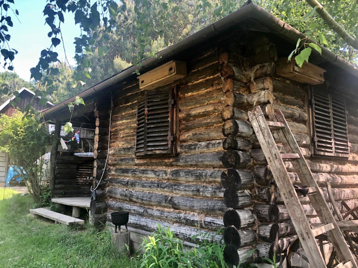 克拉西琴Modryna Ranczo住宿加早餐旅馆 外观 照片